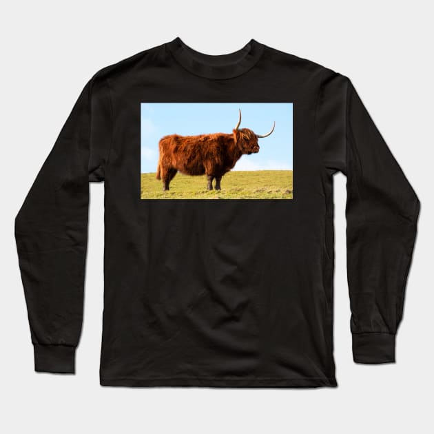 Highland Cow, Scotland Long Sleeve T-Shirt by Graz-Photos